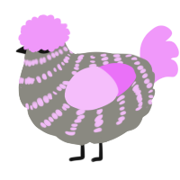 Swanda, a ash and lavender chicken with a bar pattern