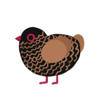 (unnamed), a black and brown chicken with a lace pattern