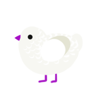 Procyon, a white chicken with a half-lace pattern