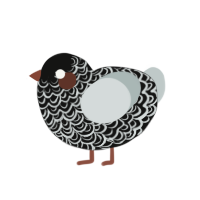 Pinot, a black and silver chicken with a double-lace pattern