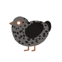 Pebble, a grey and sable chicken with a speckle pattern