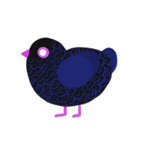 (unnamed), a black and navy chicken with a double-lace pattern