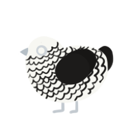 Echo, a white and sable chicken with a lace pattern