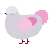 Carl, a mist and pink chicken with a speckle pattern