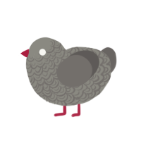 (unnamed), a ash and grey chicken with a double-lace pattern