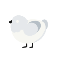 Gliese, a white and mist chicken with a head pattern