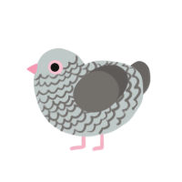 Sandwich, a silver and grey chicken with a lace pattern