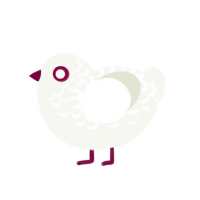 Joyous, a white chicken with a half-lace pattern