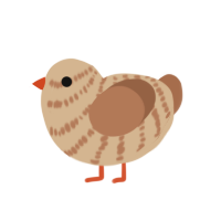 Cow Tools, a beige and brown chicken with a bar pattern