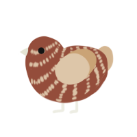 (unnamed), a russet and beige chicken with a bar pattern