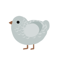 Not a Chicken, a silver chicken with a half-lace pattern