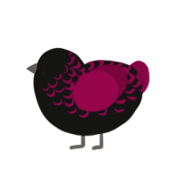 Celeste, a black and maroon chicken with a half-lace pattern