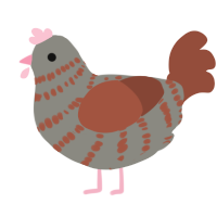 ophelia, a ash and russet chicken with a bar pattern