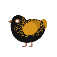 (unnamed), a black and ochre chicken with a half-lace pattern