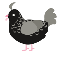 Darkened Veil, a sable and ash chicken with a half-lace pattern