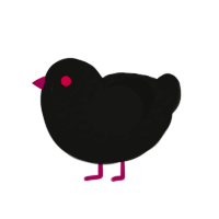 Luna, a black chicken with a half-lace pattern