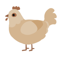 Project Beige, a beige chicken with a head pattern