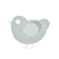 Pebble, a silver chicken with a half-lace pattern