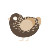 (unnamed), a bark and beige chicken with a half-lace pattern