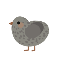 PerfectlyRoundPebble, a ash and grey chicken with a speckle pattern