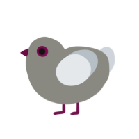 (unnamed), a ash and mist chicken