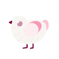 Blush, a white and rose chicken with a bar pattern