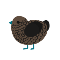 Grey One, a bark and sable chicken with a lace pattern