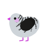 Marshmellow, a mist and sable chicken with a half-bar pattern