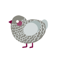 (unnamed), a ash and silver chicken with a lace pattern