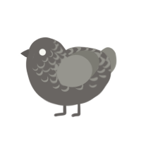 (unnamed), a grey and ash chicken with a half-lace pattern