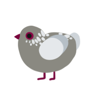 (unnamed), a ash and mist chicken with a neck-speckle pattern