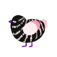 Chonk, a black and rose chicken with a bar pattern