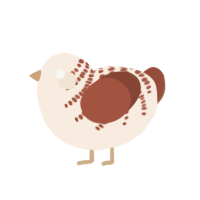 (unnamed), a cream and russet chicken with a half-bar pattern