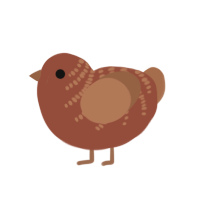 (unnamed), a russet and brown chicken with a half-bar pattern