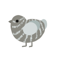 XxAshSilverxX, a ash and silver chicken with a bar pattern