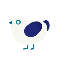 Gull, a white and navy chicken