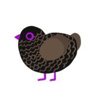 (unnamed), a black and bark chicken with a lace pattern