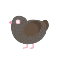 (unnamed), a grey and bark chicken with a lace pattern