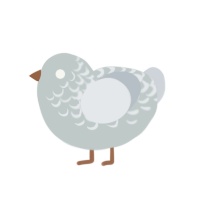 (unnamed), a silver and mist chicken with a half-lace pattern