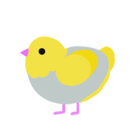 (unnamed), a silver and yellow chicken with a head pattern