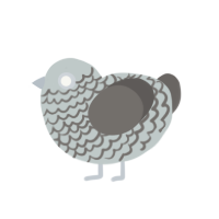 (unnamed), a silver and grey chicken with a lace pattern