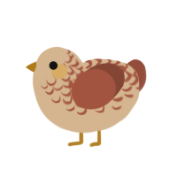 Caprica, a beige and russet chicken with a half-lace pattern