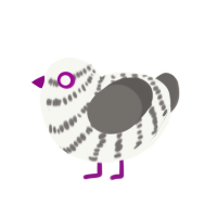 (unnamed), a white and grey chicken with a bar pattern