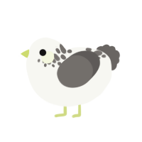 (unnamed), a white and grey chicken with a neck-speckle pattern