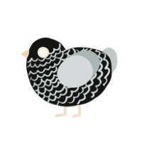 (unnamed), a black and silver chicken with a lace pattern