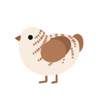 (unnamed), a cream and brown chicken with a half-bar pattern