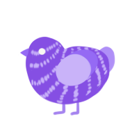 lilac, a lilac chicken with a bar pattern