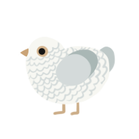 Minnow, a white and silver chicken with a lace pattern