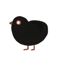 lil soot guy, a sable and black chicken with a lace pattern