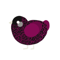 Okay little guy, a black and wine chicken with a double-lace pattern